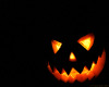 Thumb_halloween2008_009