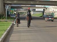 Набережные Челны: конкурсы, фото челнинцев и города - Челны ЛТД