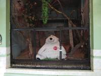 Набережные Челны: конкурсы, фото челнинцев и города - Челны ЛТД