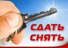 145 жителей Набережных Челнов признались, что сдают квартиры