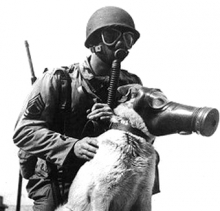 164 года назад был запатентован противогаз.