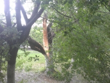 Набережные Челны пережили короткий шторм