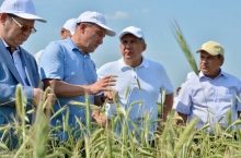 Урожай в Татарстане будет меньше