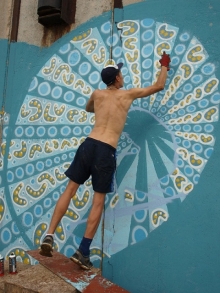 На пляже появились плавающие коты