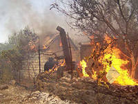 Очередные потери челнинских дачников: