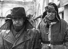 Отлов и отстрел собак в Набережных Челнах запрещен