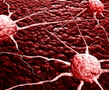 101 год назад был впервые выделен вирус рака