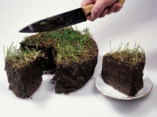 Мэру не нравится использование земли в Набережных Челнах