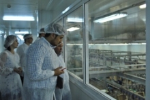 «Челны-Бройлер» предлагает свою продукцию в Европу и ОАЭ