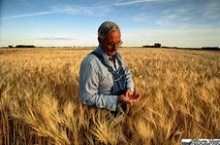 Фермеры Татарстана наторговали на 76 миллиардов рублей