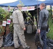 Открылась выставка-ярмарка «Дача. Сад. Огород. Осень -2013»