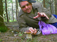 Грибники пропадают в Боровецком лесу