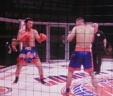 В Челнах прошли профессиональные бои