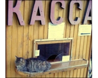 Работники не получили зарплату за июль и август