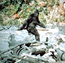 46 лет назад была сделана самая известная видеозапись Снежного человека