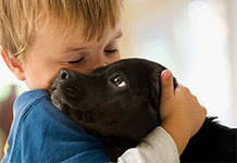 1480 бездомных животных