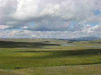 Коммунисты хотят раздать россиянам по 1-1.5 гектара земли