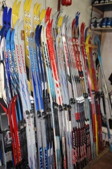 Все на лыжи!