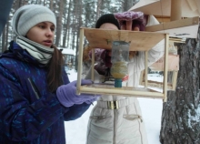 Отправляясь в лес, возьмите птицам еды