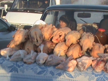 Гусиные ярмарки наращивают поголовье