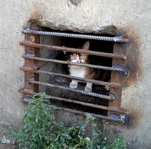 Электронным словам Шайхразиева в жэках не верят.