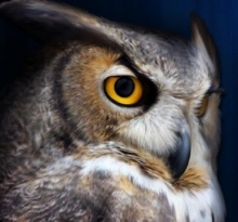 39 лет назад первые знатоки ответили на вопросы новой передачи 'Что? Где? Когда?'