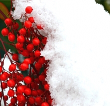 «Спасибо, мороз, что снегу нанёс» - так благодарили этот день на Руси