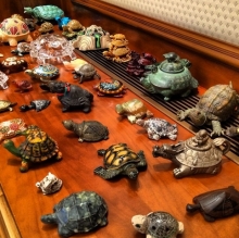 Президент Татарстана собирает фигурки черепашек?