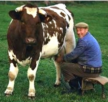 Челнинцев приглашают на работу в сибирские села