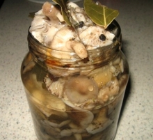 Челнинцы стали осторожней есть грибы