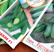 В поселке Новый торговали запрещенными семенами огурцов