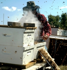 Глава Набережночелнинского института КФУ - пчеловод 'во втором поколении'