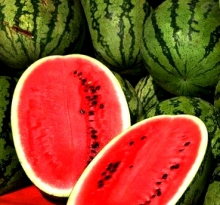 Нижнекамские арбузы могут появиться на прилавках Набережных Челнов