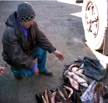 Челнинские рыбаки попались в 'сети' на 'Нересте'