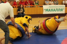 Сумо от работниц ЖКХ