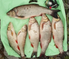 Начало лета у рыболовов Набережных Челнов