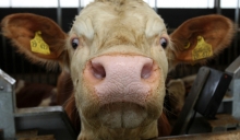 Николай Фёдоров приехал подзадорить Татарстан