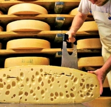 Новосибирцы «потеряли» в Набережных Челнах груз с сыром на сумму 1,65 миллиона рублей