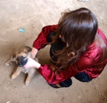 2 года назад челнинцев шокировала фотосессия с щенком девушки-живодерки