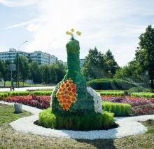 «Лебедь», «Павлин», «Пчела» и «Бабочка»