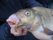 Рыбалка в Набережных Челнах: последние дни лета