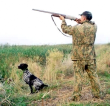 Территория Тукаевского охотничьего хозяйства стала общедоступной