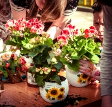 Садоводам Набережных Челнов разрешили бизнес на фестивале цветов