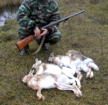 С 15 сентября челнинские охотники могут отстреливать зайцев, волков и лисиц