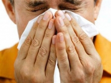 В Набережных Челнах всплеск мышиной лихорадки