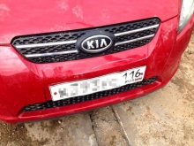 Животные «напали» на автомобиль на парковке в Набережных Челнах