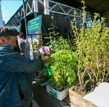 Еще одна ярмарка для огродников готовится в Набережных Челнах