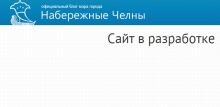Блога мэра Набережных Челнов пока не будет