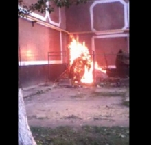 В Набережных Челнах неизвестные подожгли цветочные скульптуры в виде медведей