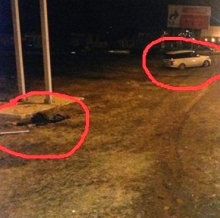 МВД РТ дало официальный ответ на запрос о резонансном ДТП